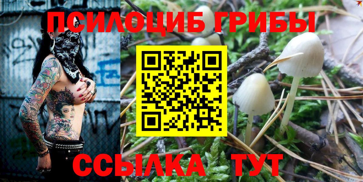 Галлюциногенные грибы GOLDEN TEACHER Новодвинск
