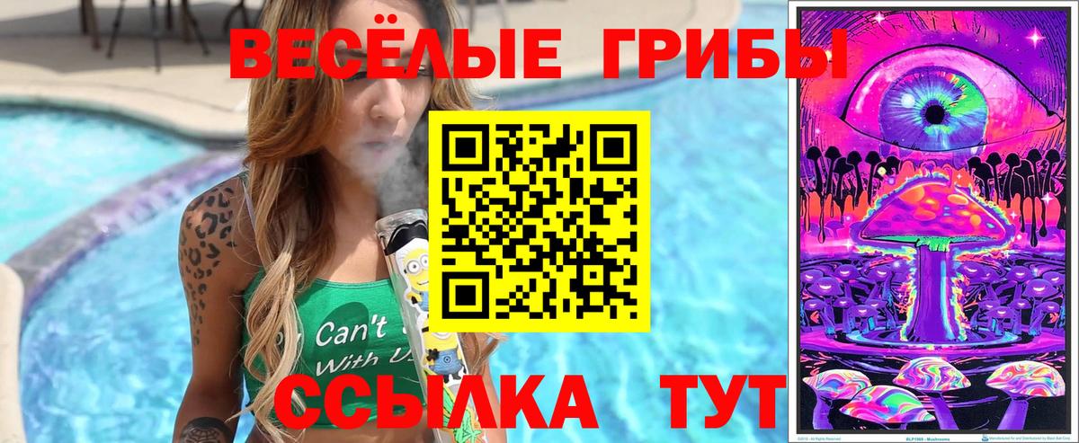 Галлюциногенные грибы Magic Shrooms  Псилоцибиновые грибы мухоморы  Новодвинск  Вход с VPN 