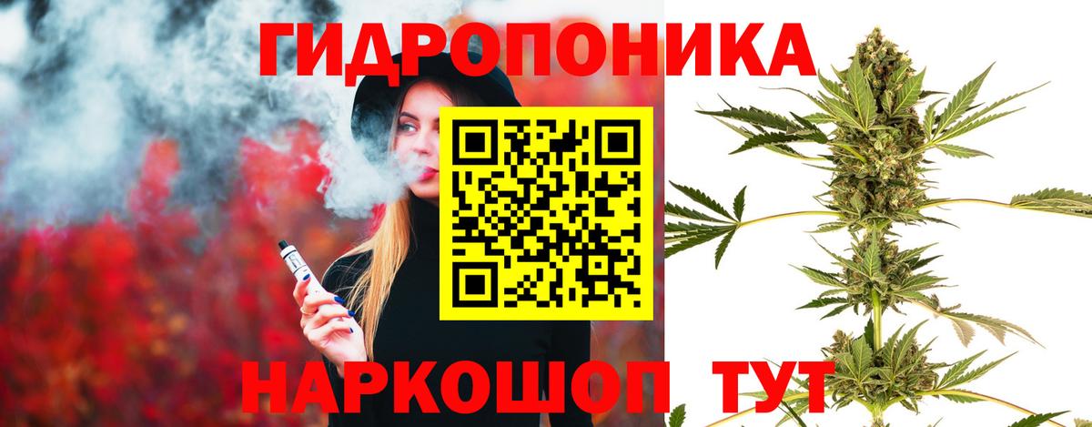 Новодвинск  Бошки марихуана VHQ  Бошки марихуана VHQ  Вход с VPN  Канабис AK-47 